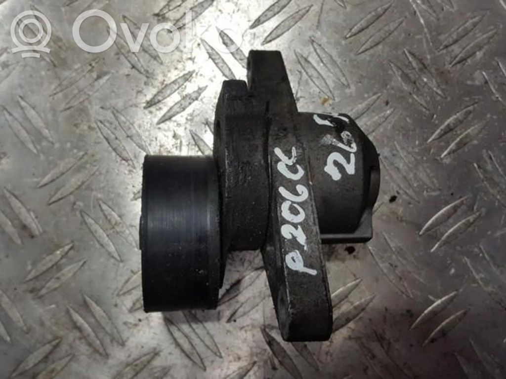 Peugeot 206 Tensor de correa del alternador 