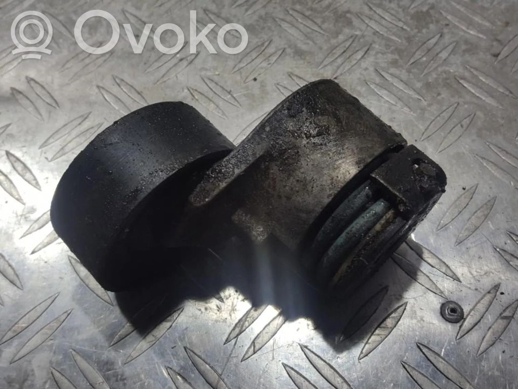 Tensor de correa del alternador   8200048486,8200048486