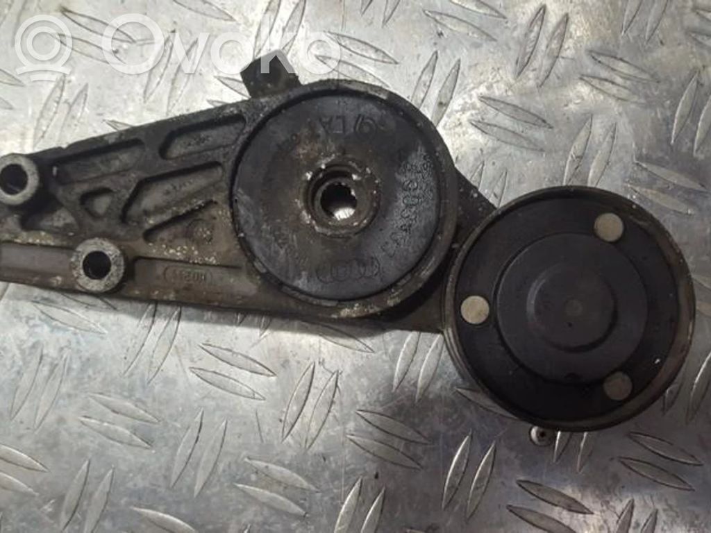 Volkswagen PASSAT B5 Întinzător curea generator/alternator 