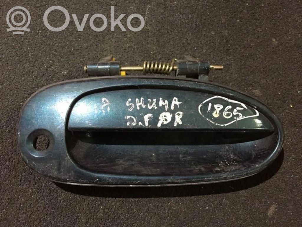 Manecilla externa puerta delantera