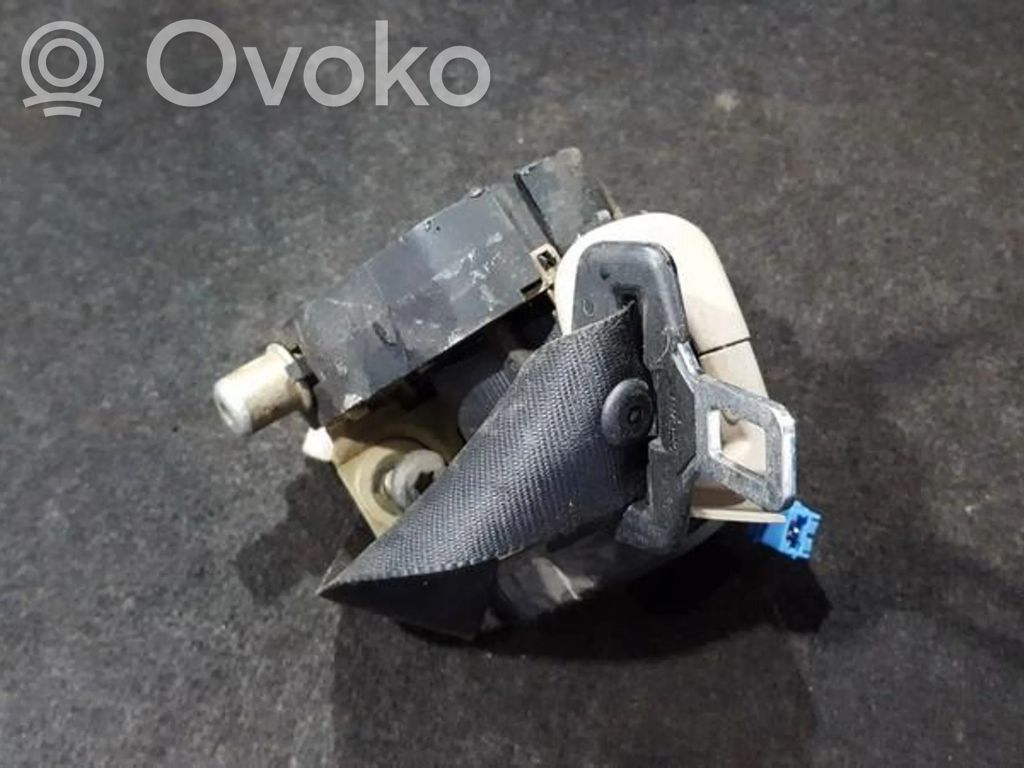 Rover 75 Sicherheitsgurt hinten 