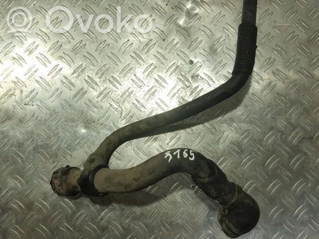 Volkswagen PASSAT B5 Przewód / Wąż chłodnicy