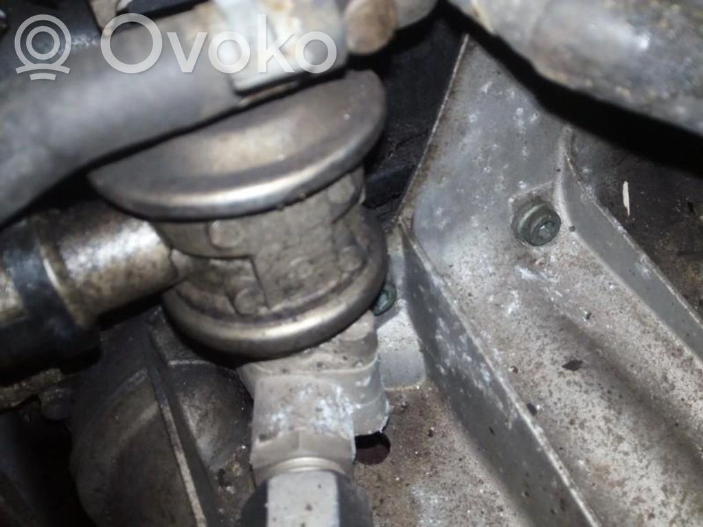 Volkswagen Golf IV Valvola EGR
