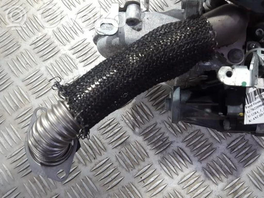 Ford Fiesta Conductă/furtun supapă EGR