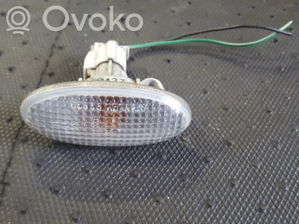 Seitenblinker   P2829,010635,010635,P2829