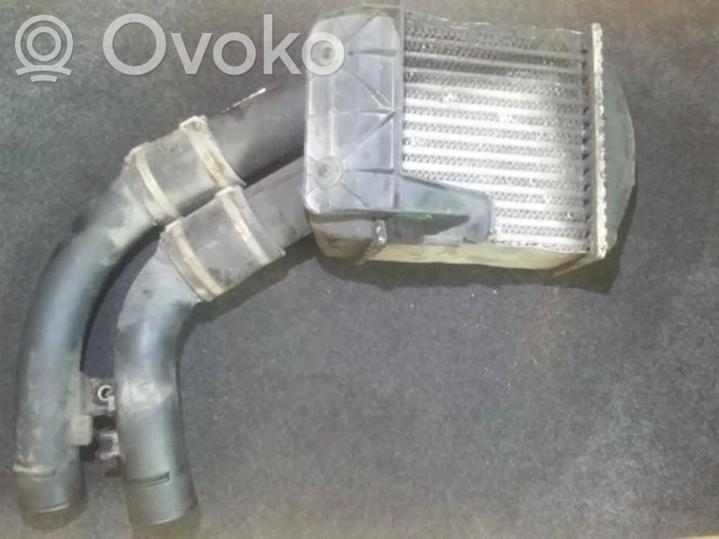 Renault Scenic I Radiator intercooler 