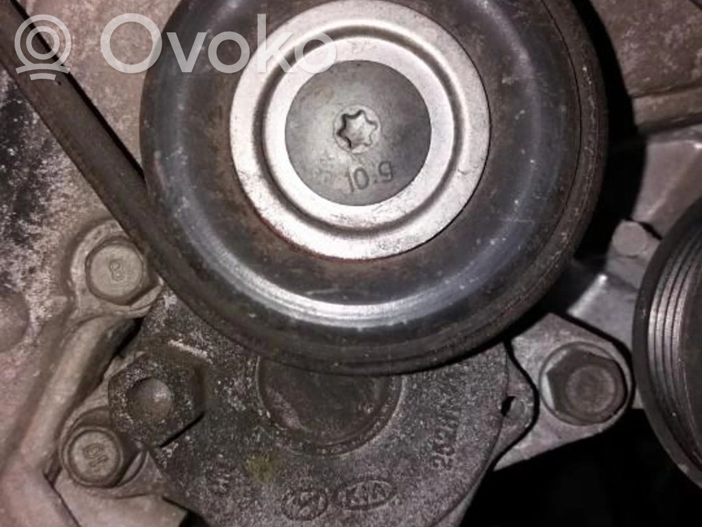 KIA Ceed Tendicinghia generatore/alternatore
