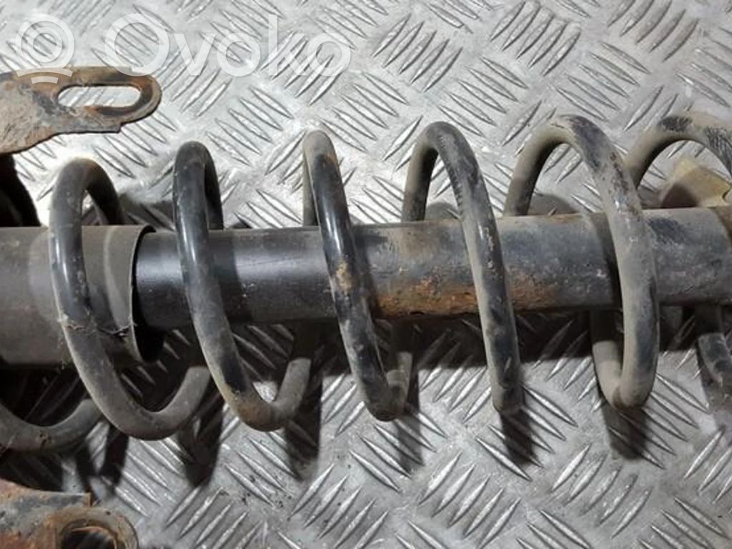 Rear coil spring
