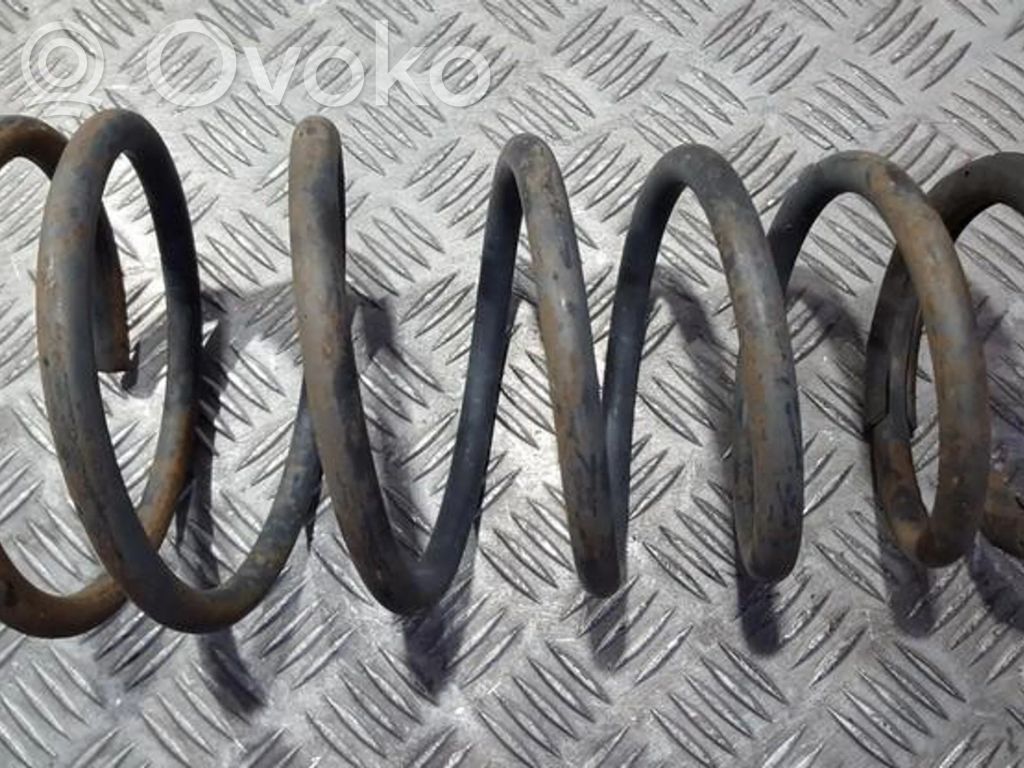 Rear coil spring