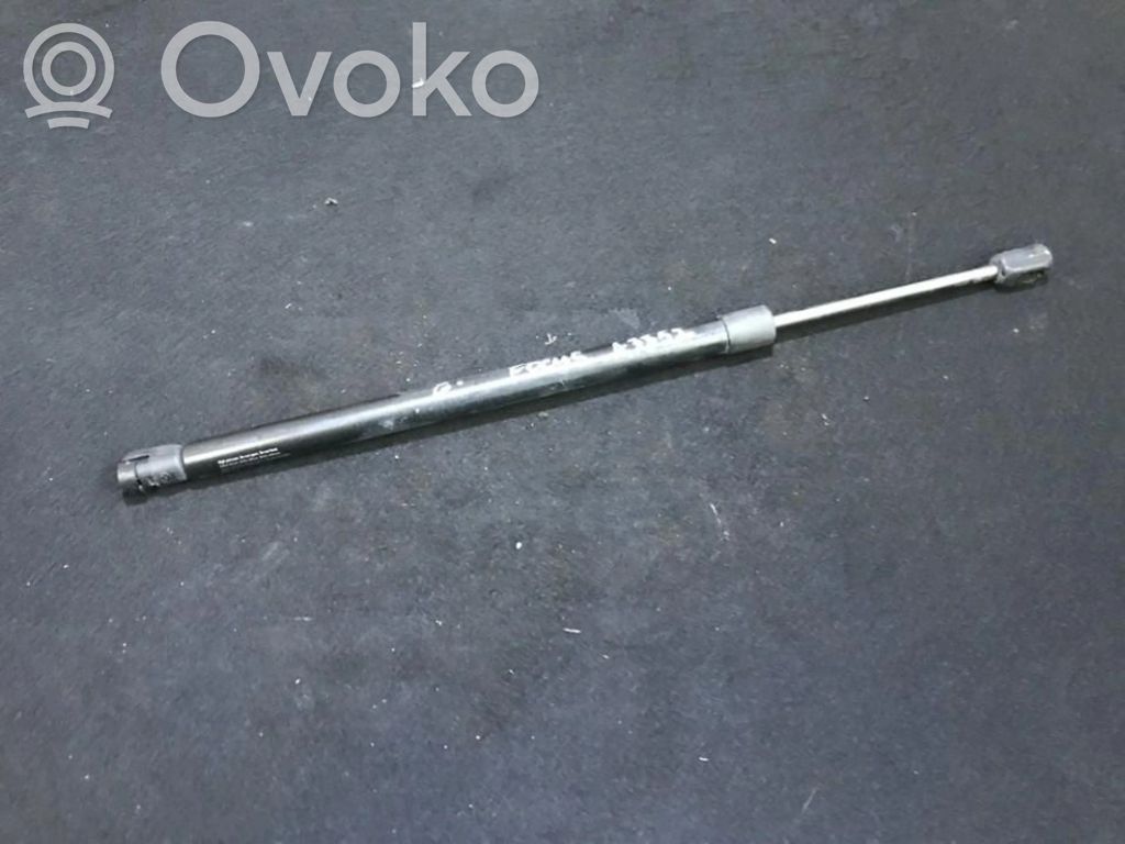 Tailgate/trunk strut/damper