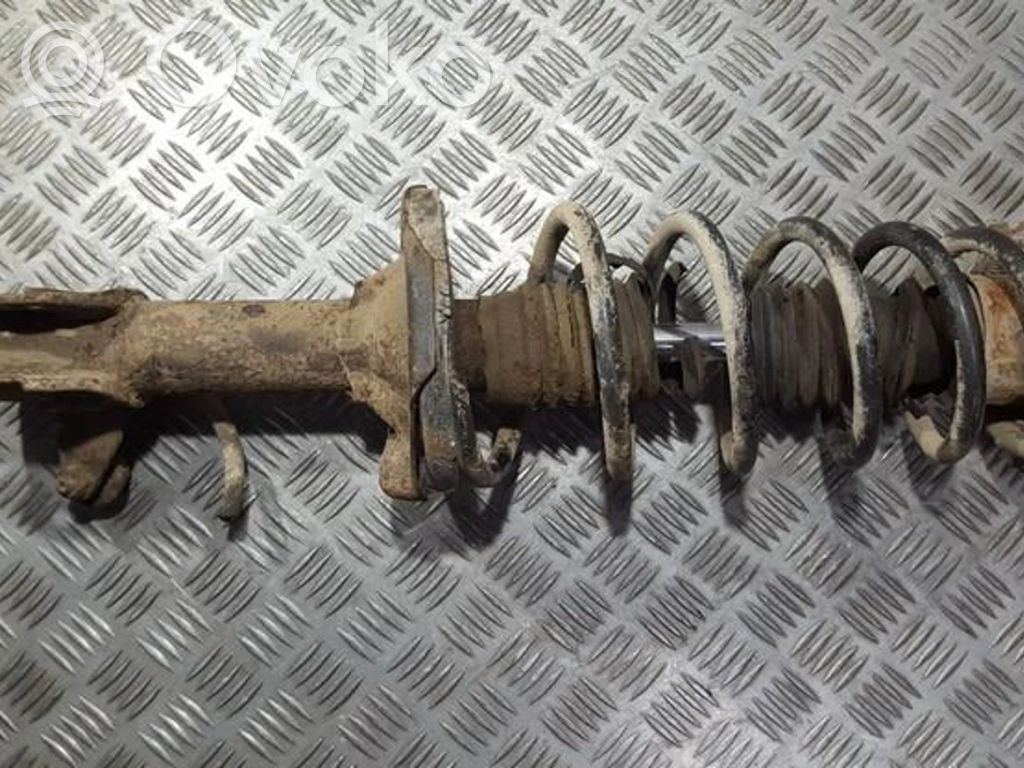 Rear coil spring