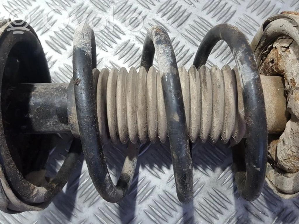Front coil spring