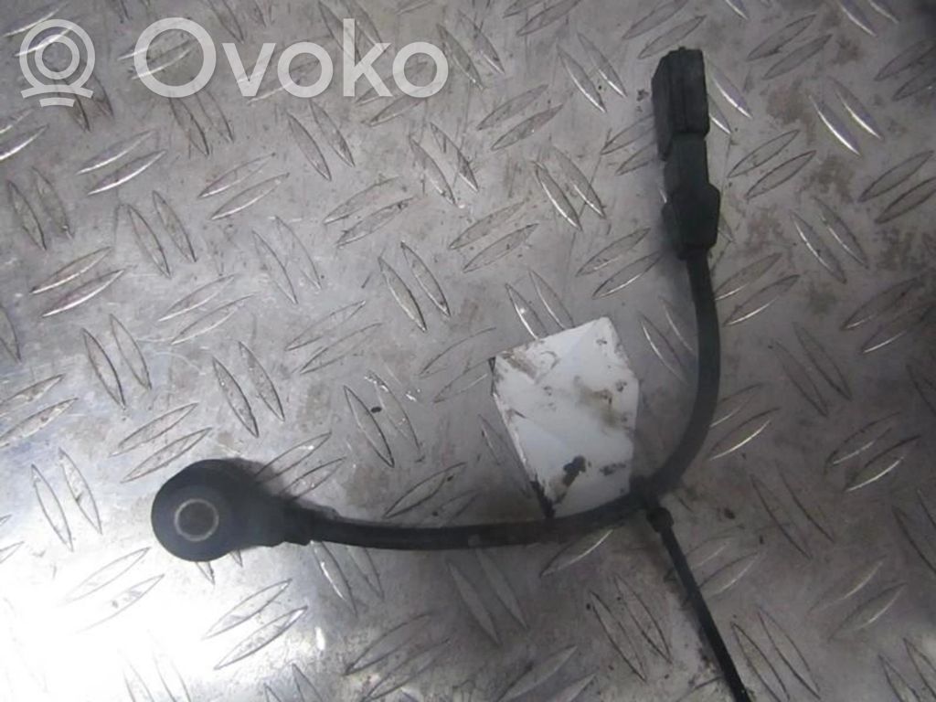 Porsche Cayenne (9PA) Klopfsensor 
