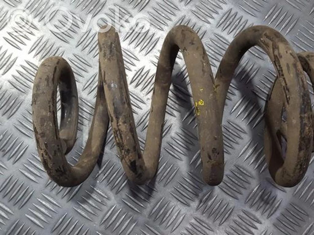 Front coil spring