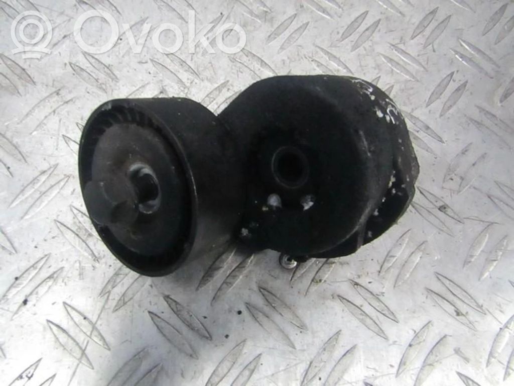 Opel Combo C Întinzător curea generator/alternator 