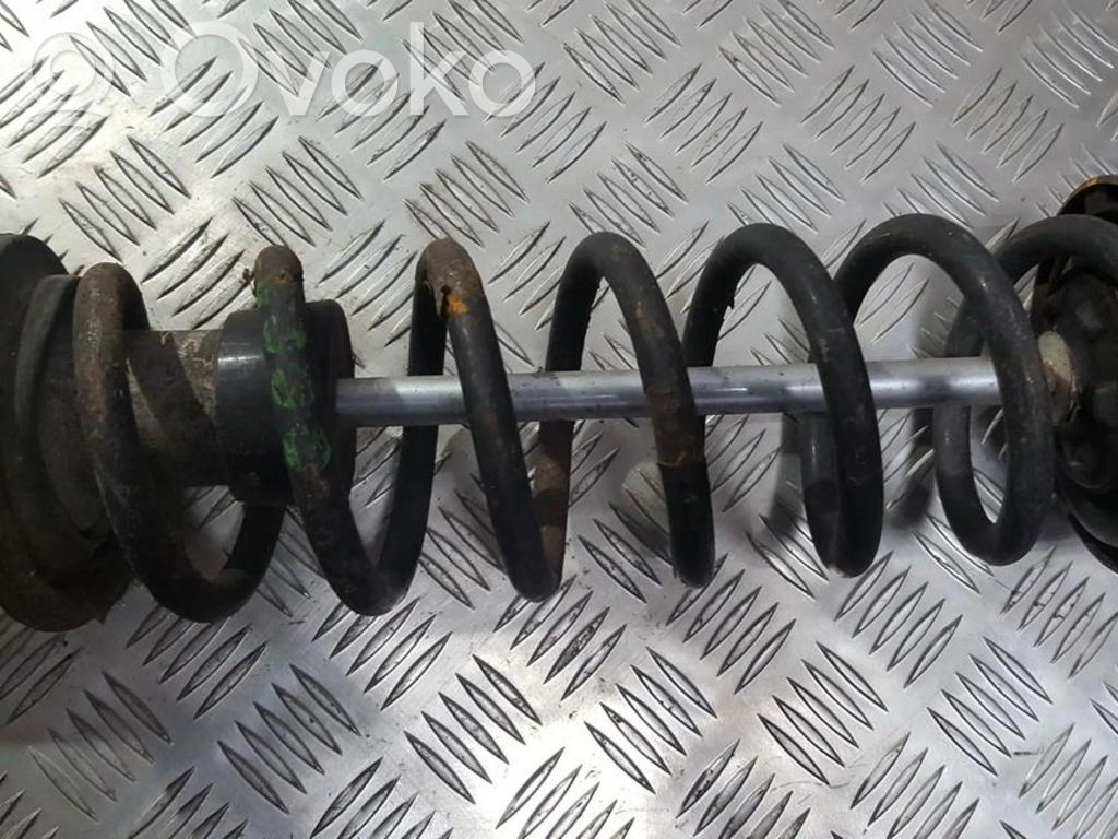 Rear coil spring