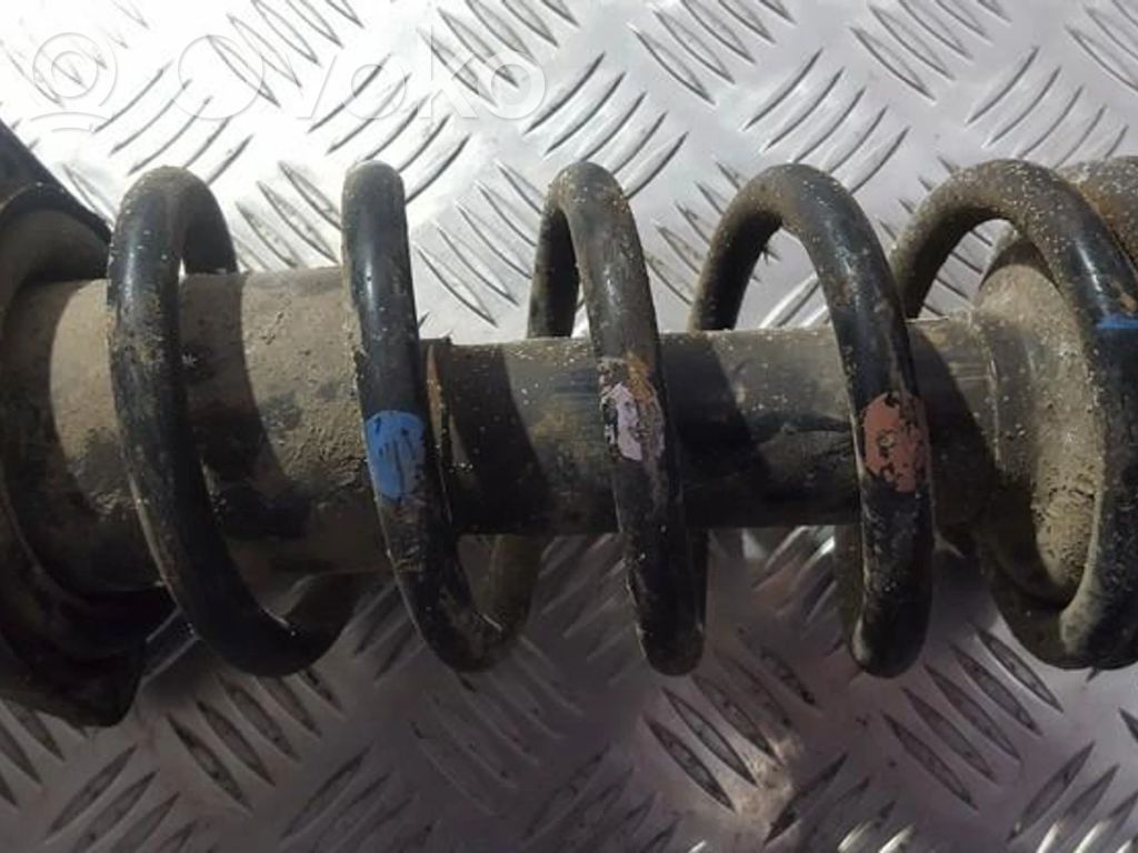 Arc elicoidal spate