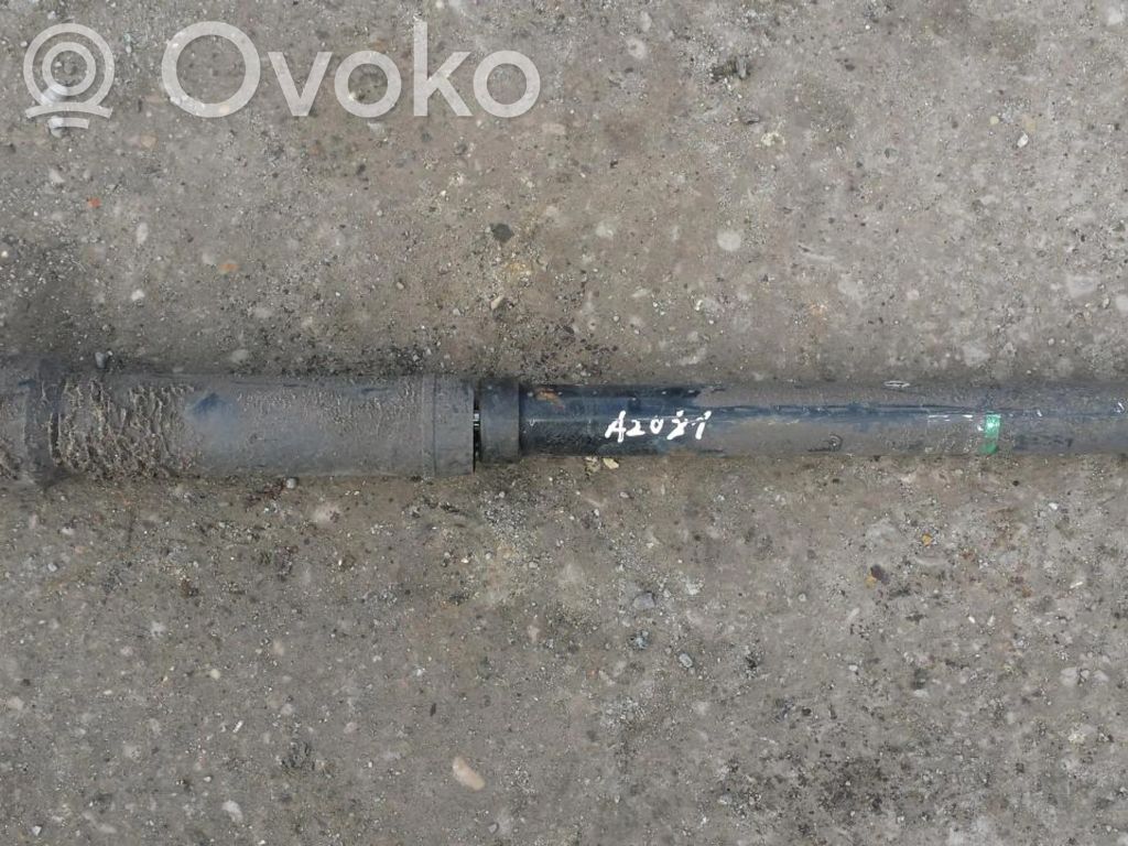 Stoßdämpfer hinten