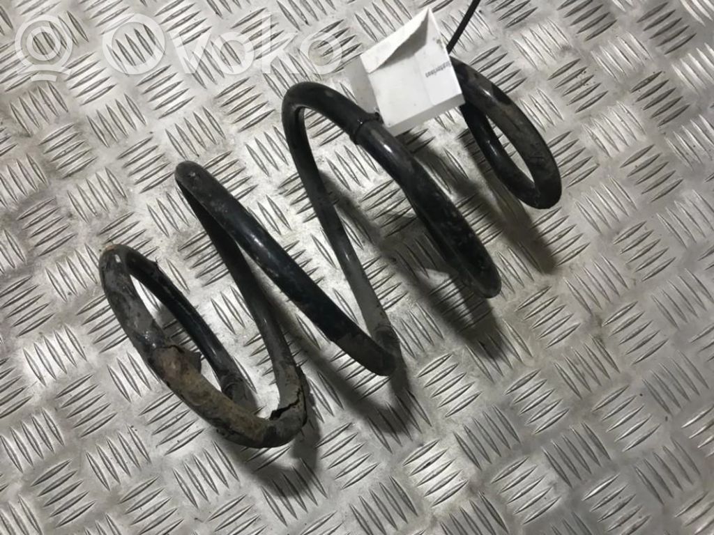 Front coil spring