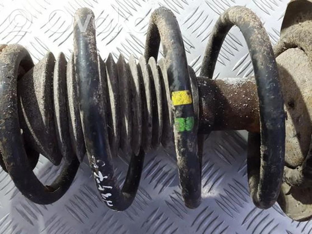 Front coil spring