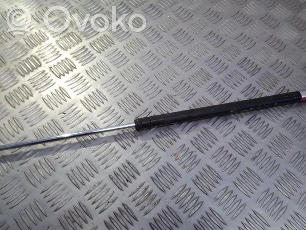 Tailgate/trunk strut/damper
