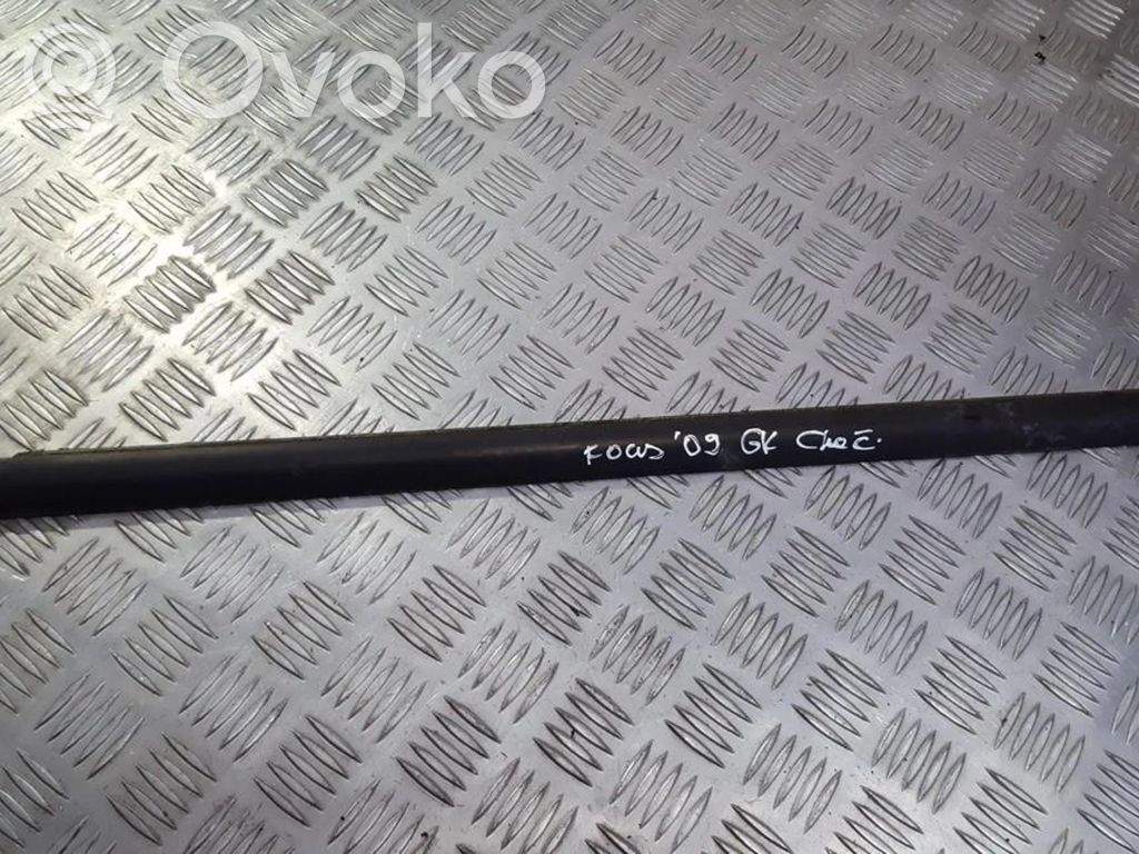 Ford Focus Ornament geam ușă spate 