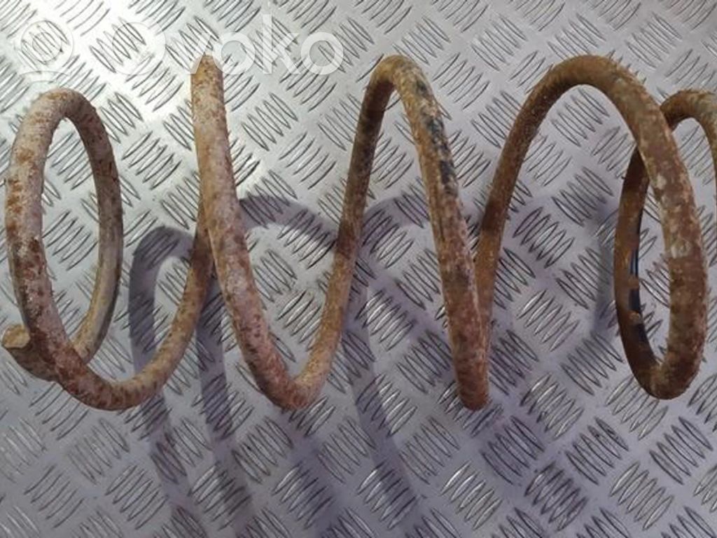 Molla elicoidale anteriore