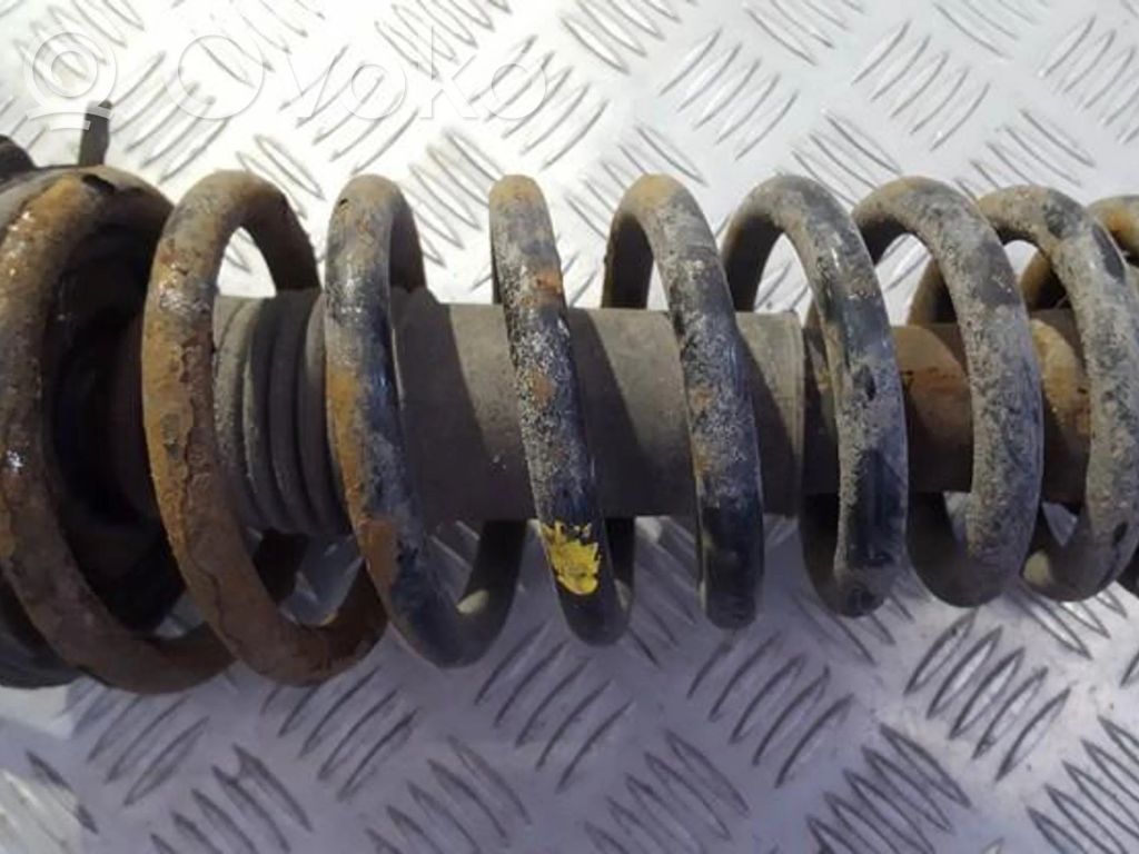 Front coil spring