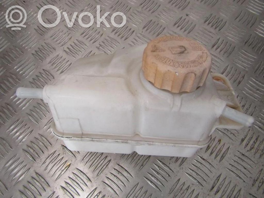 Chevrolet Kalos Serbatoio di compensazione del liquido refrigerante/vaschetta