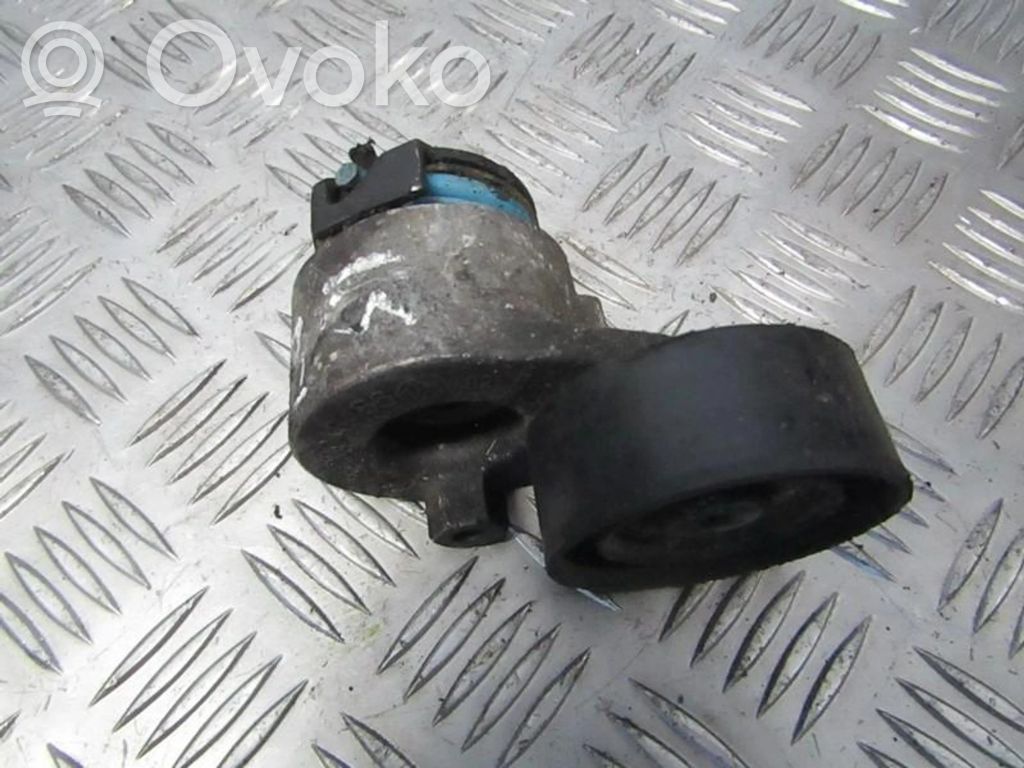 Tensor de correa del alternador   8200048486,8200048486
