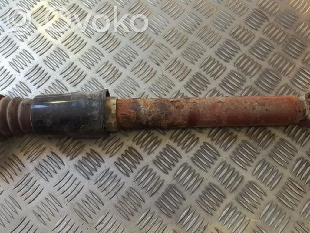 Stoßdämpfer hinten