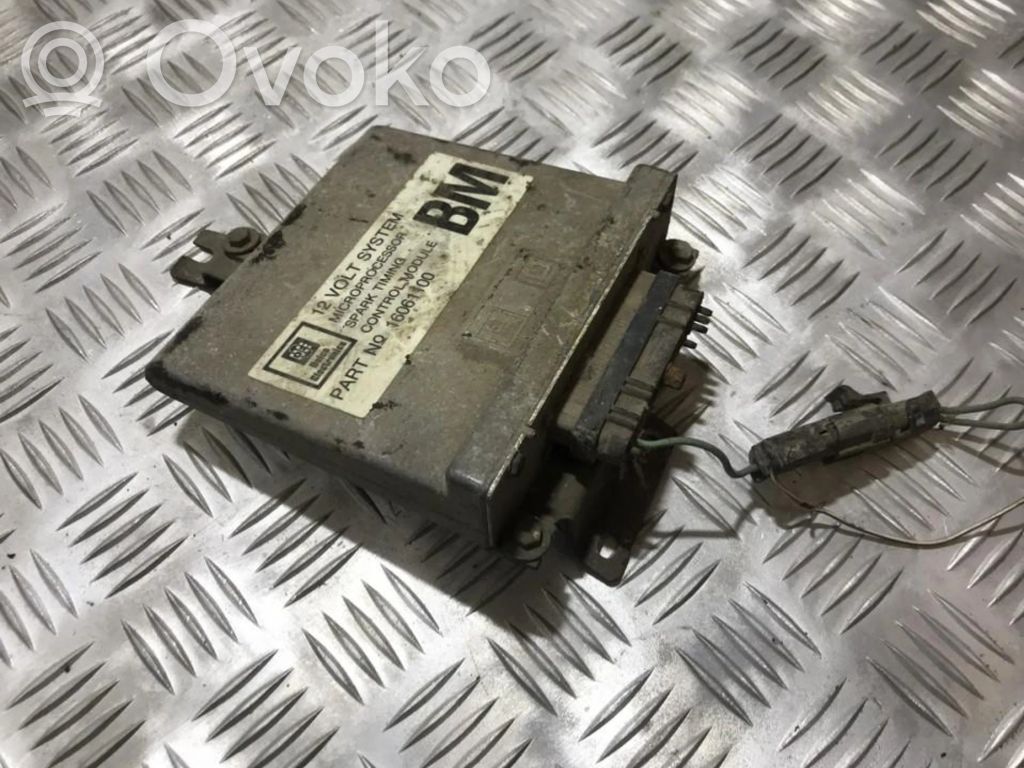 Sterownik / Moduł ECU   16061100,BM,16061100