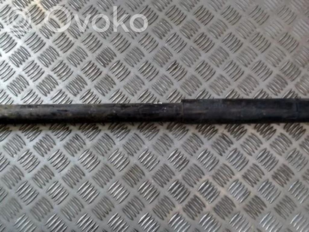 Suzuki SX4 Amortiguador trasero 