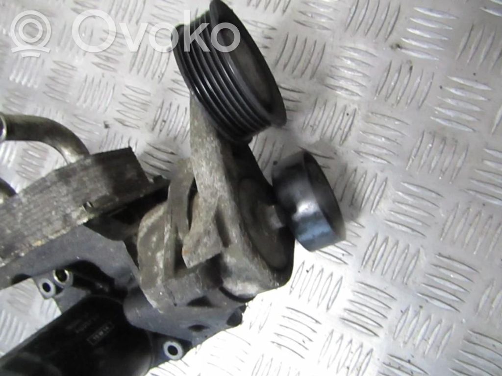 Ford Focus Diržo įtempėjas 