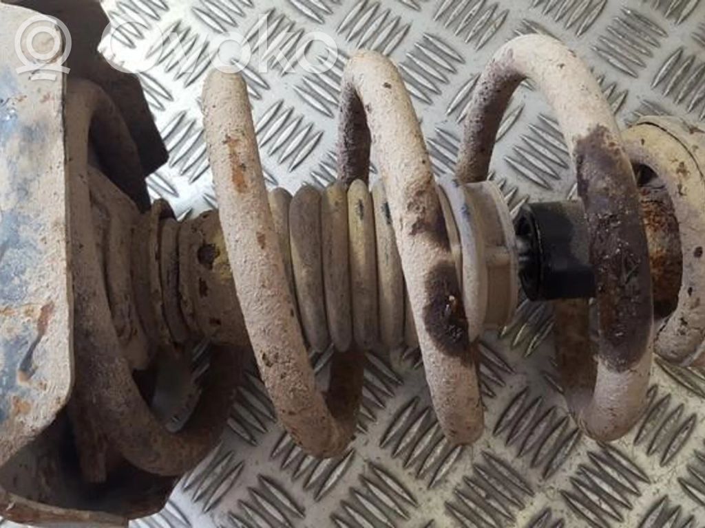 Front coil spring