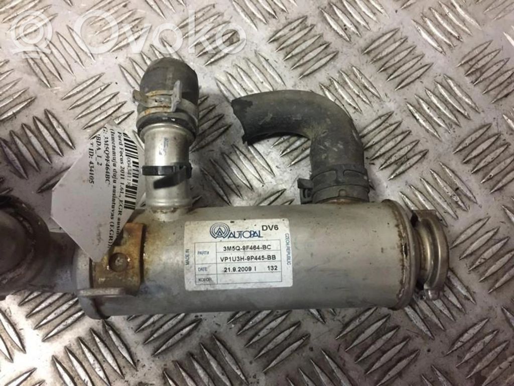 Ford Focus Valvola di raffreddamento EGR 