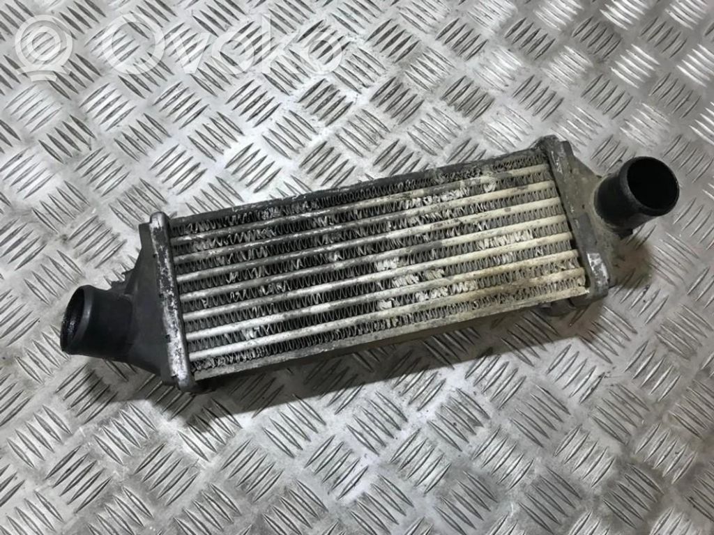 Intercooler radiator