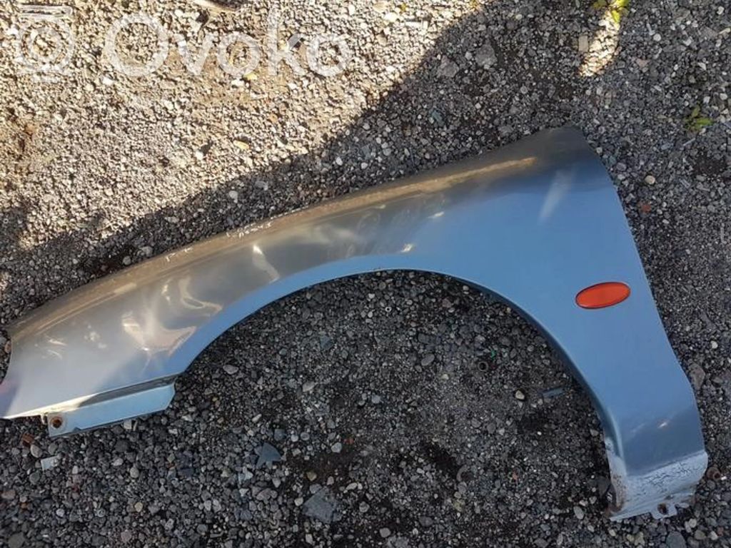 Guardabarro