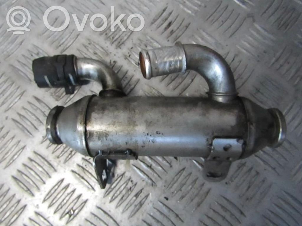 Peugeot 307 Refrigerador de la válvula EGR 