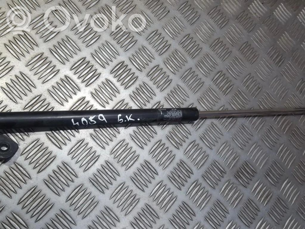 Tailgate/trunk strut/damper   3C14,3C14