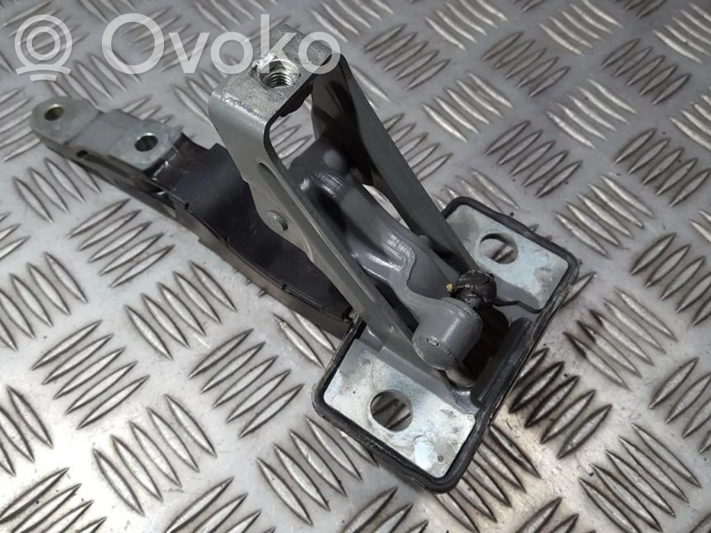 Tailgate/trunk/boot hinge