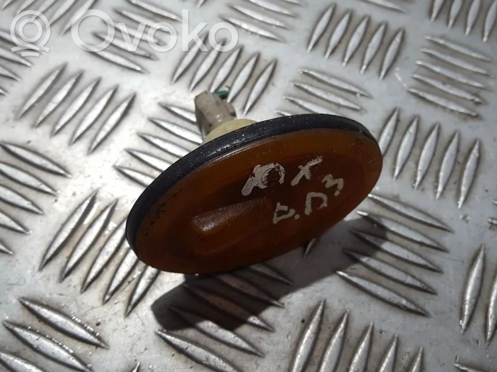 Front fender indicator light