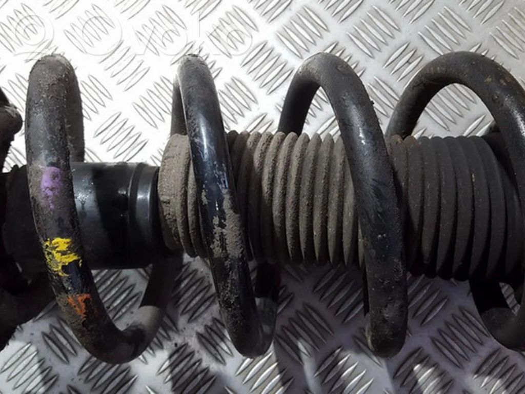 Front coil spring
