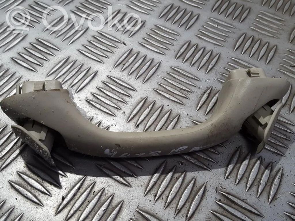 Asidero interior delantero   13550,13550