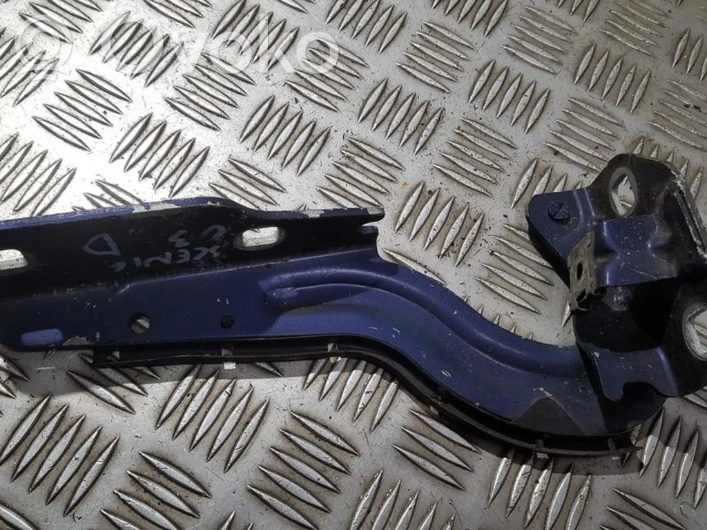 Renault Scenic I Balamale capotă 