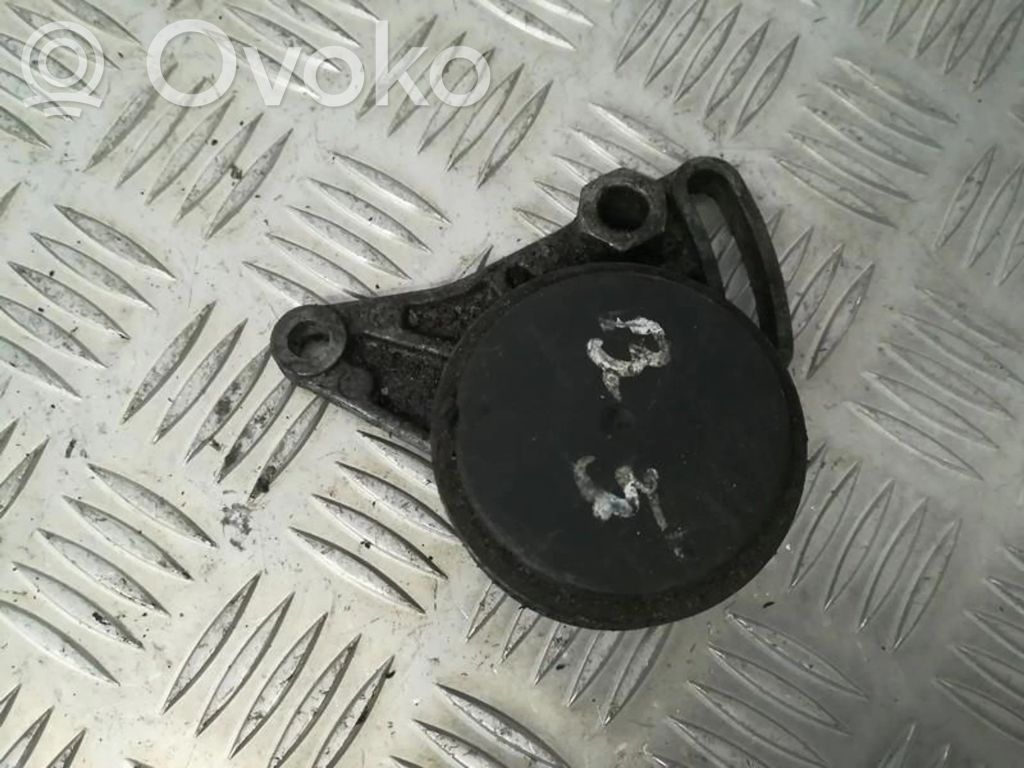 Volkswagen PASSAT B5 Tendicinghia generatore/alternatore 