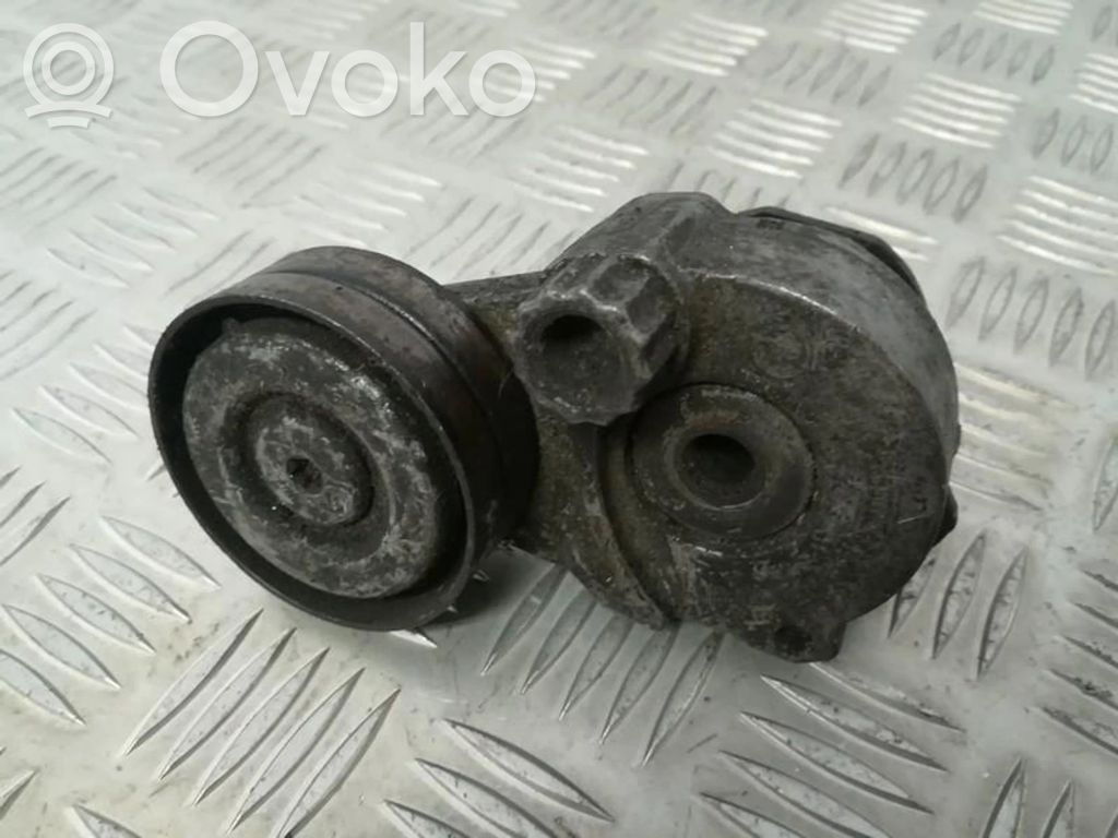 Tendicinghia generatore/alternatore   55556090AZ,55556090AZ