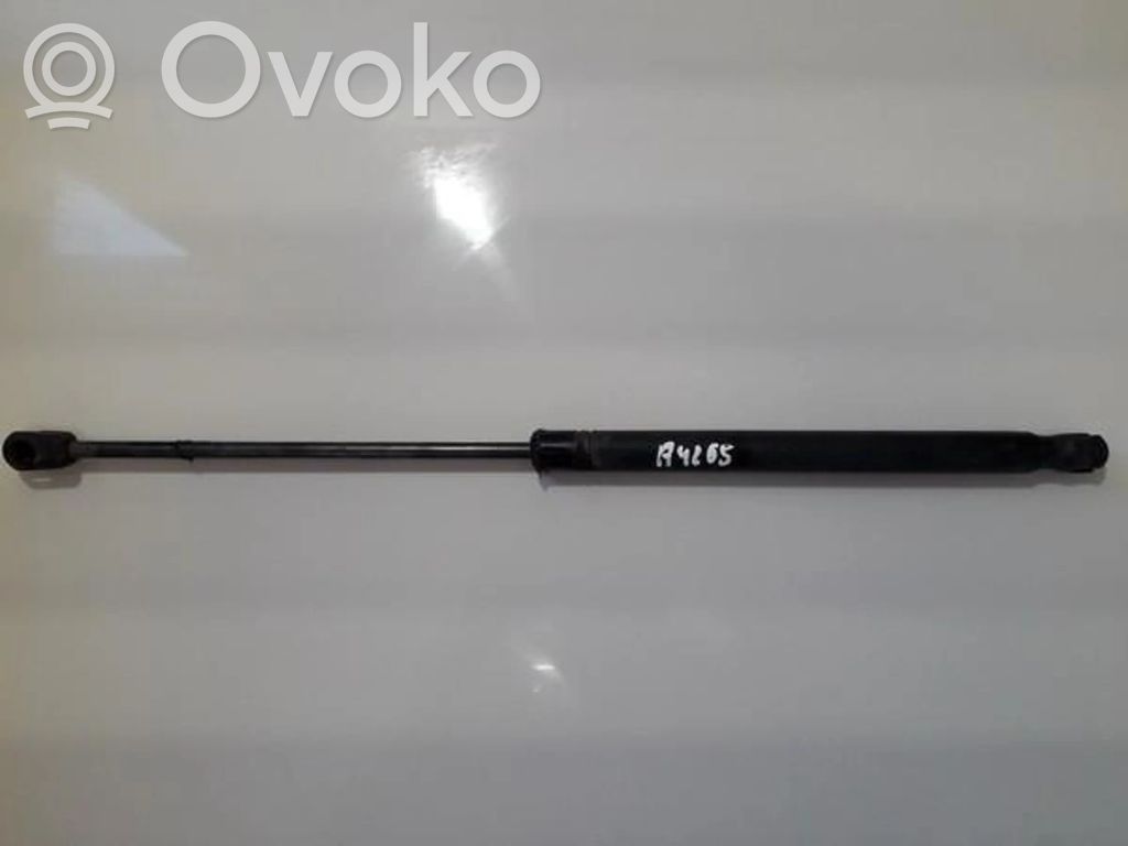 Opel Vectra C Ammortizzatore portellone posteriore/bagagliaio 