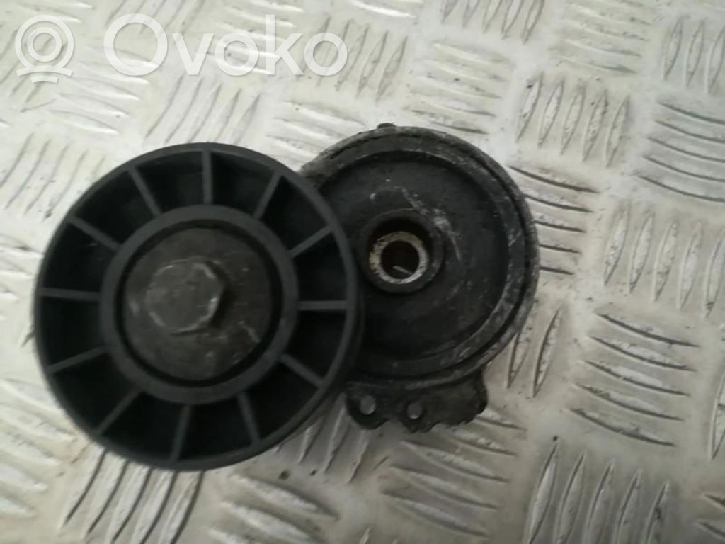 Întinzător curea generator/alternator