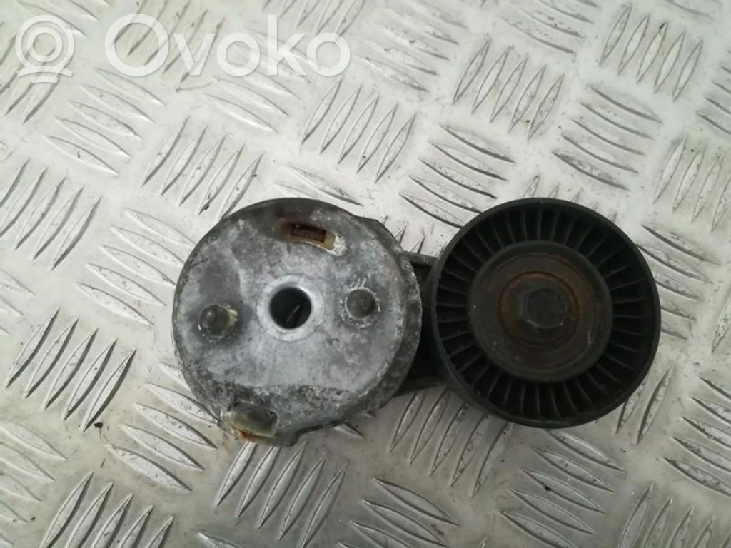 Diržo įtempėjas   04861514AA,04861514AA